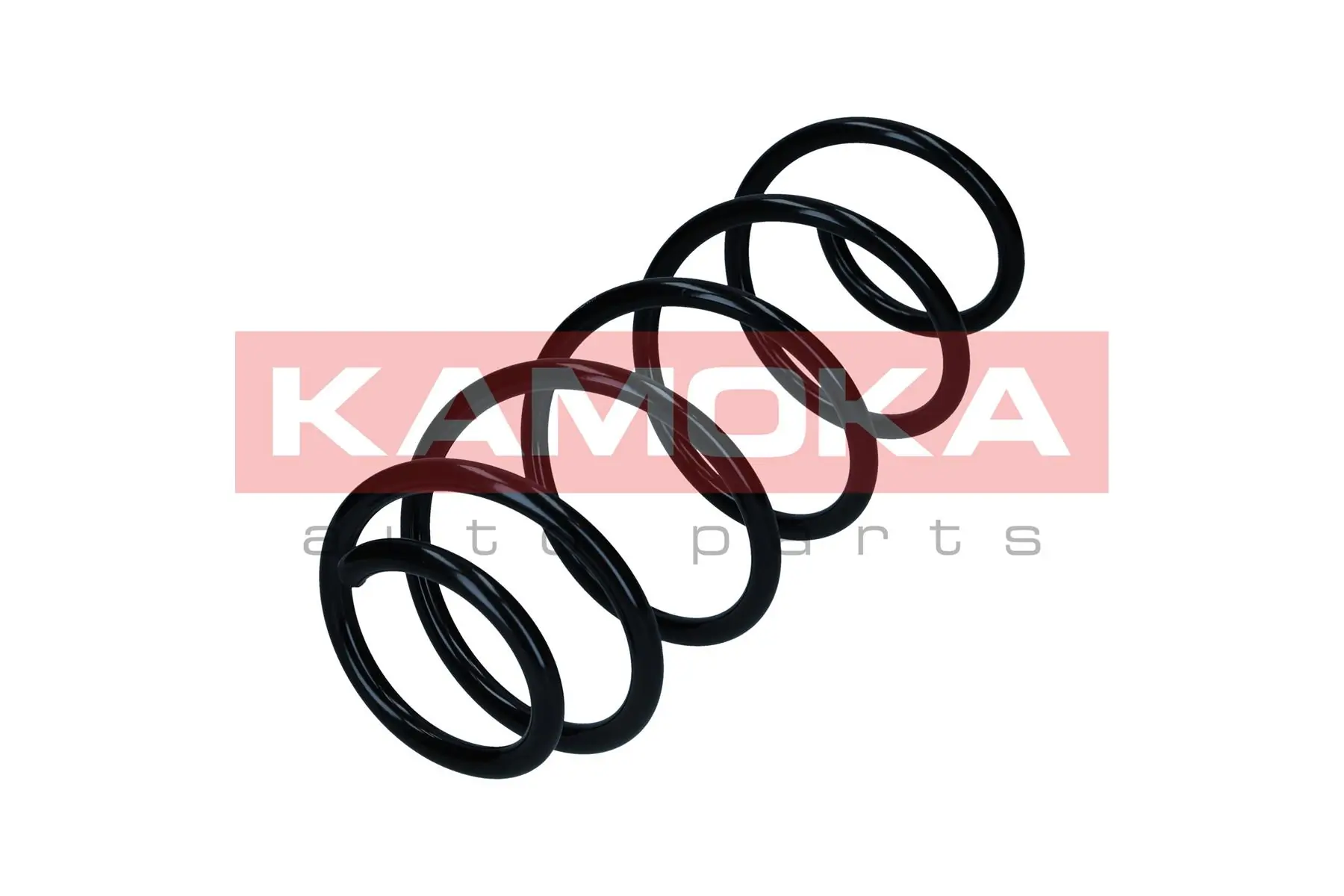 Suspension Spring 2110457