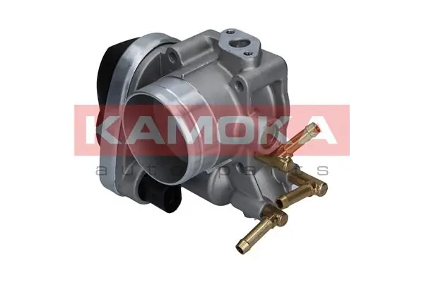 Throttle Body 112008