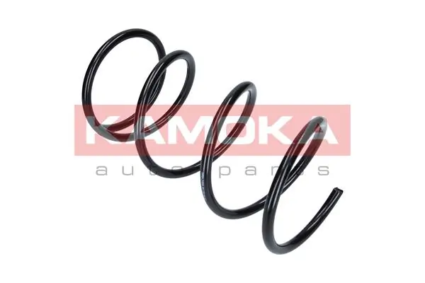 Suspension Spring 2110034