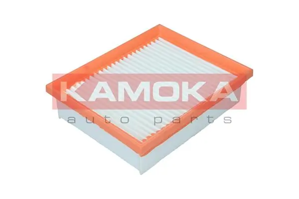 Air Filter F253801
