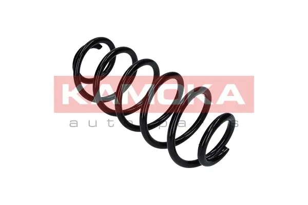 Suspension Spring 2120282