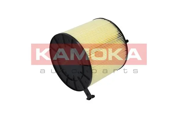 Air Filter F215601