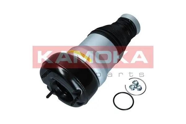 Air Spring, suspension 2079056
