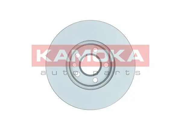 Brake Disc 1031109