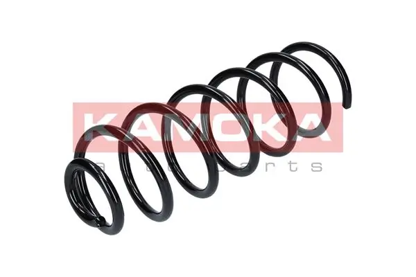 Suspension Spring 2120197