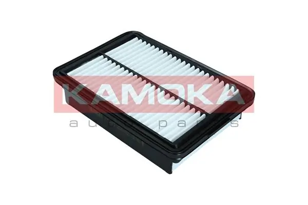 Air Filter F252001