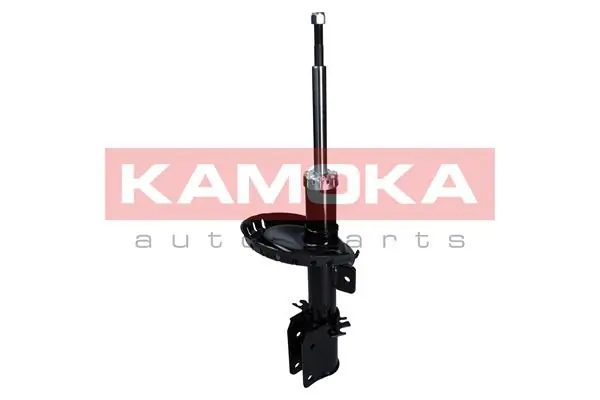Shock Absorber 2000485
