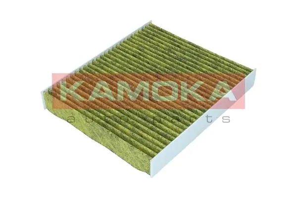 Filter, cabin air 6080085