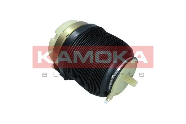 Air Spring, suspension 2079002