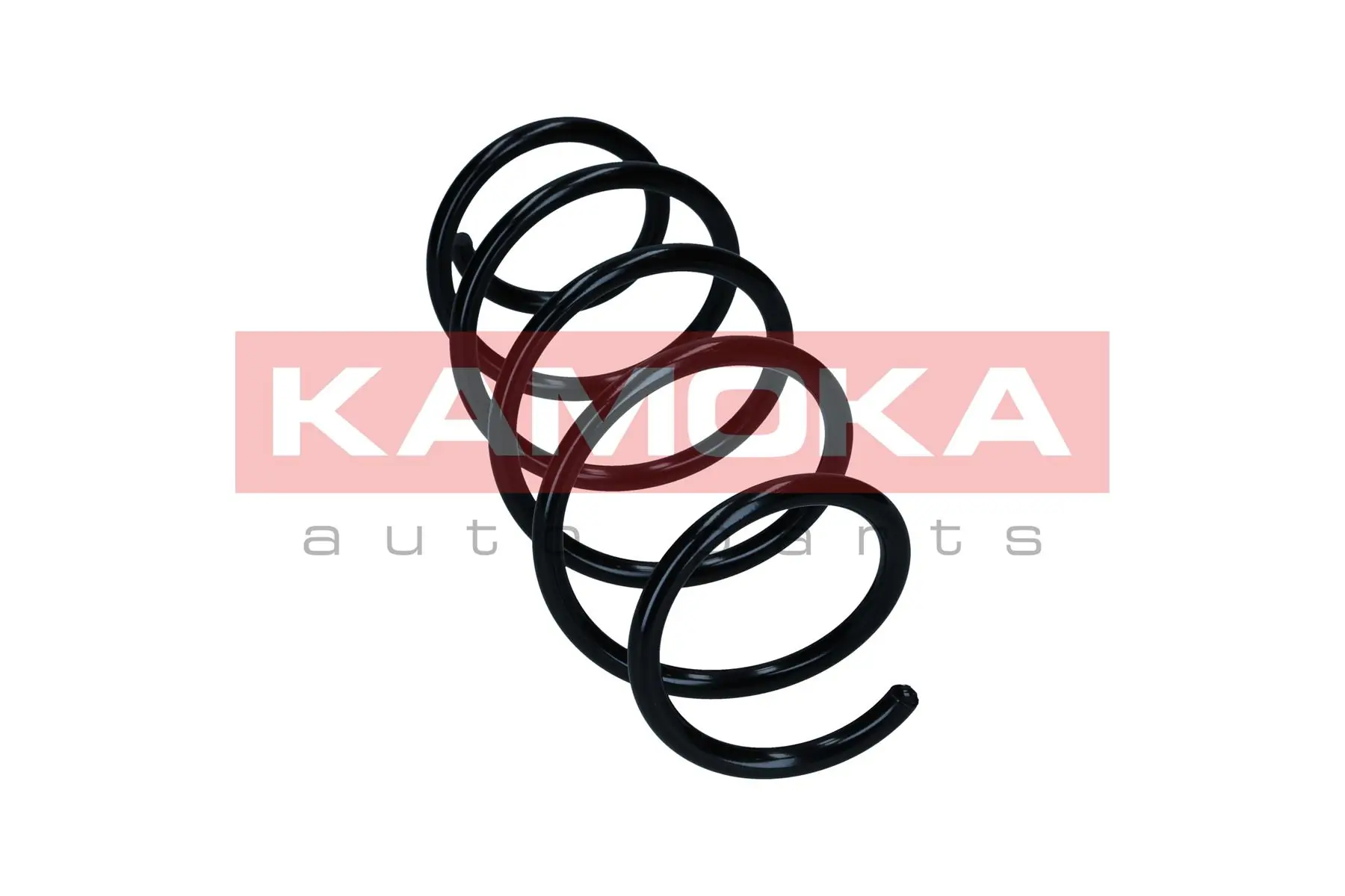 Suspension Spring 2110547