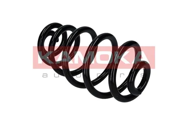 Suspension Spring 2120245