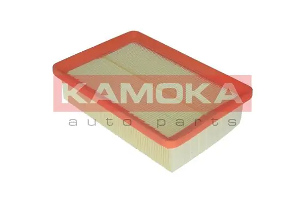 Filter udara F205801