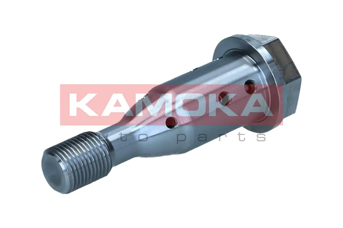 Control Valve, camshaft adjustment RA060