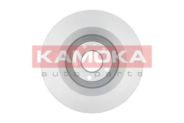 Brake Disc 1031097