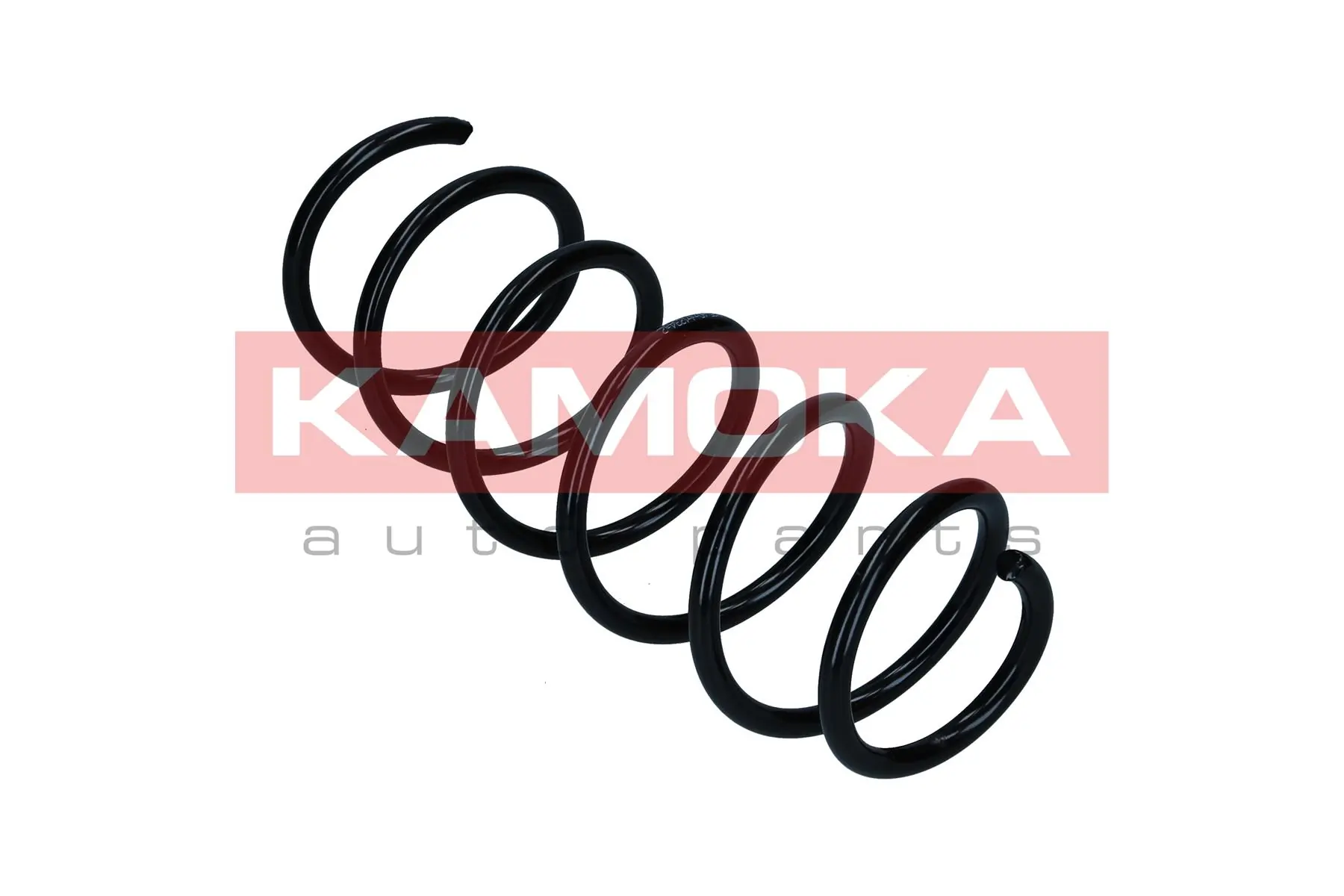 Suspension Spring 2110435