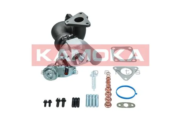 Charger, charging (supercharged/turbocharged) 8600061