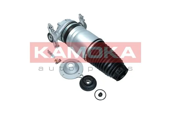 Air Spring, suspension 2079012