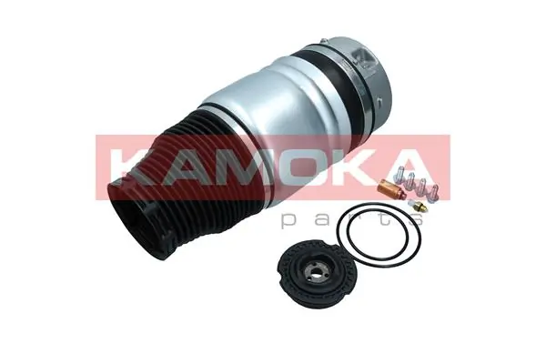 Air Spring, suspension 2079007