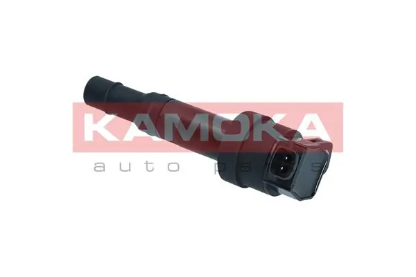 Ignition Coil 7120006