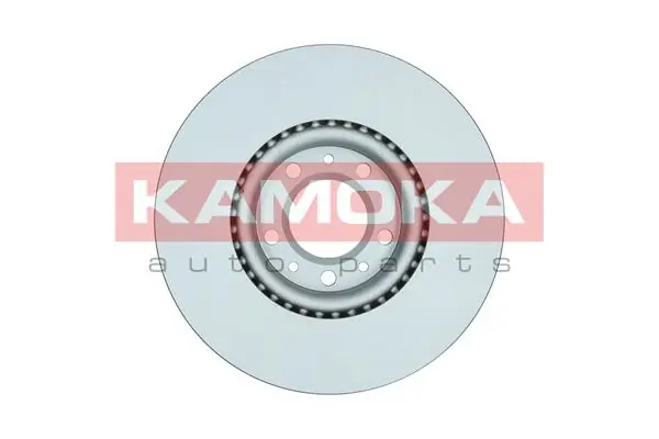 Brake Disc 1036068