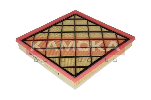 Air Filter F220601