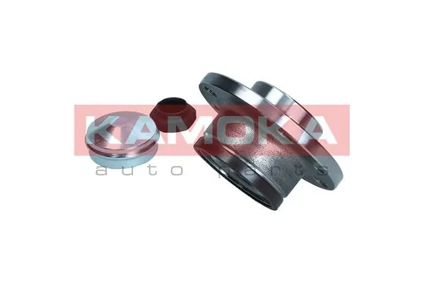 Wheel Bearing Kit 5500030