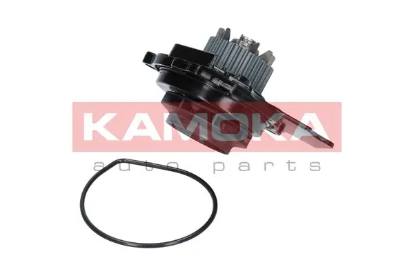 Water Pump, engine cooling T0031