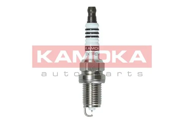 Spark Plug 7100045