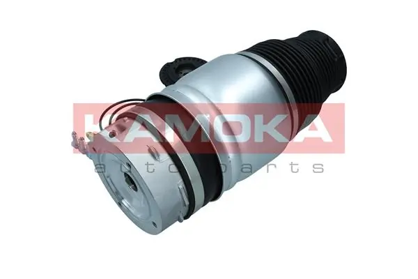 Air Spring, suspension 2079007