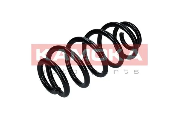 Suspension Spring 2110297