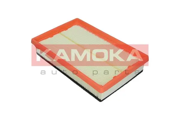 Air Filter F224601