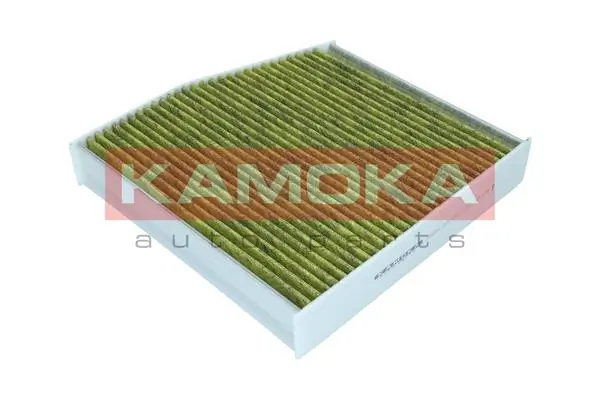Filter, cabin air 6080084