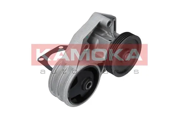 Water Pump, engine cooling T0258