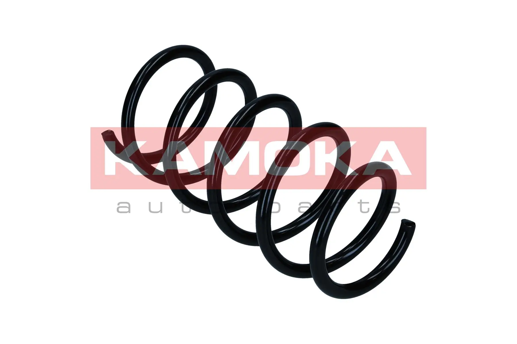 Suspension Spring 2110464