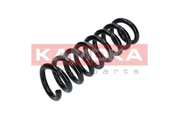 Suspension Spring 2120179