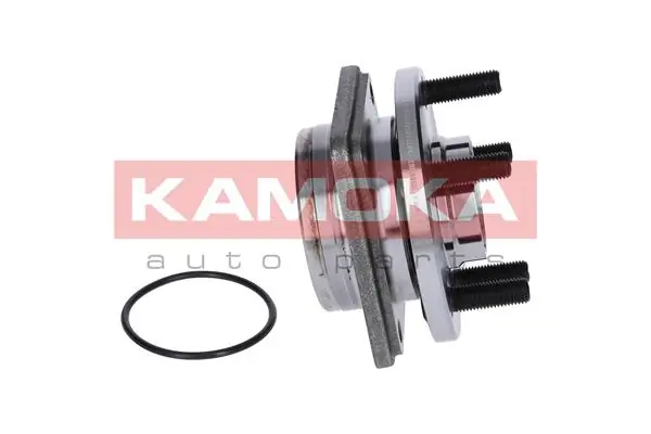 Wheel Bearing Kit 5500057