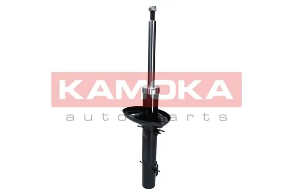 Shock Absorber 2000381