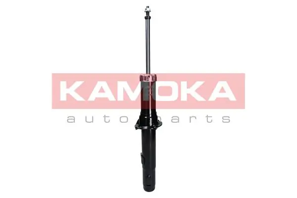 Shock Absorber 2000699