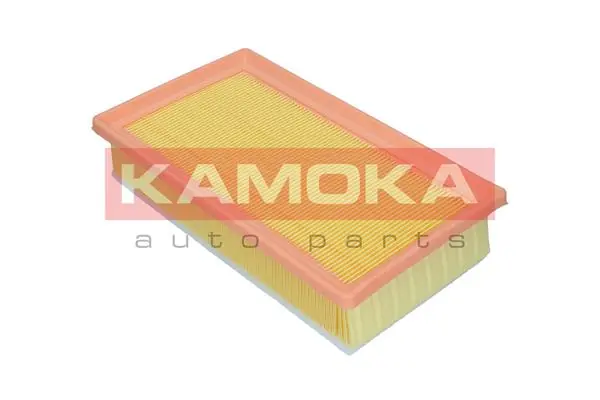 Air Filter F252101
