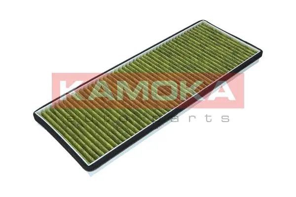 Filter, cabin air 6080006