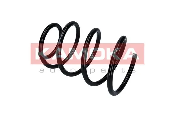 Suspension Spring 2110280