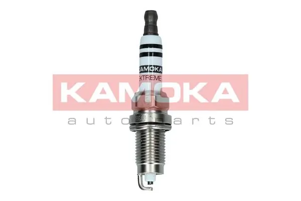 Spark Plug 7090537