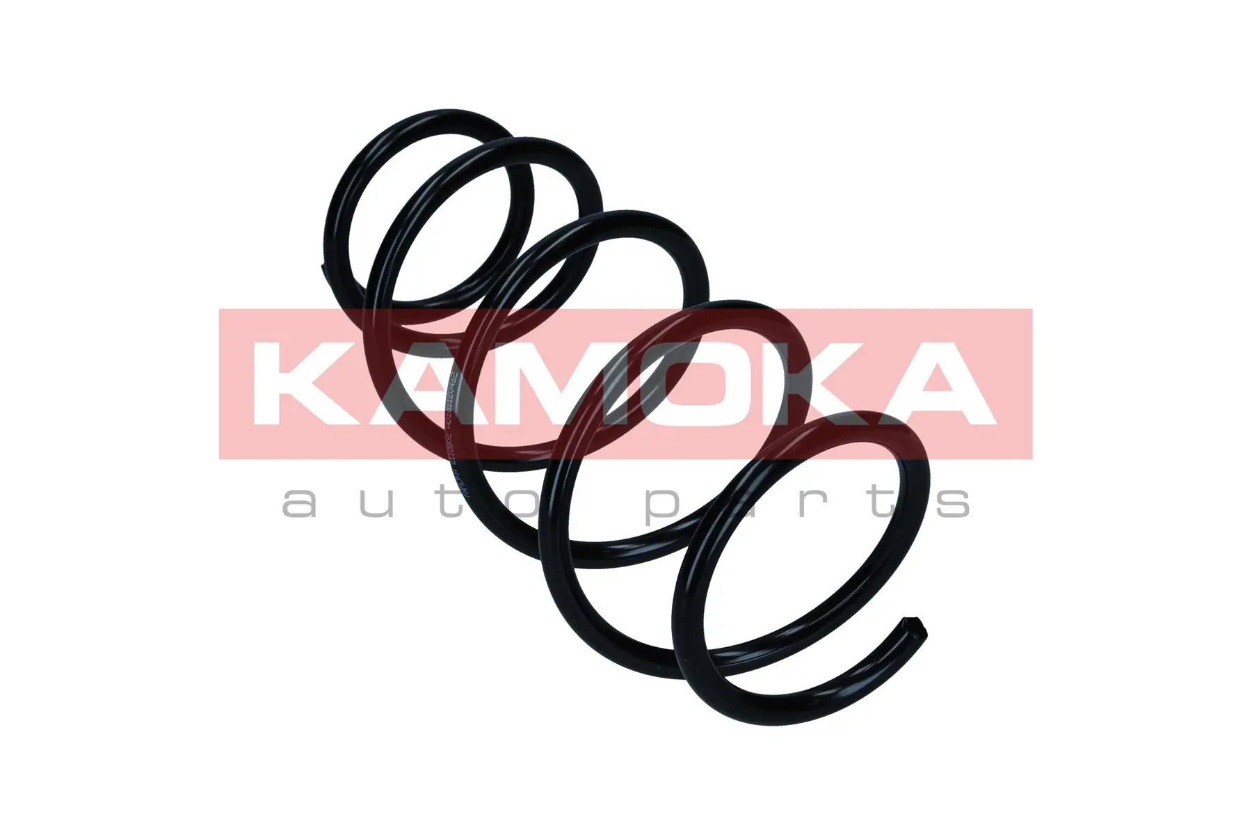 Suspension Spring 2120044