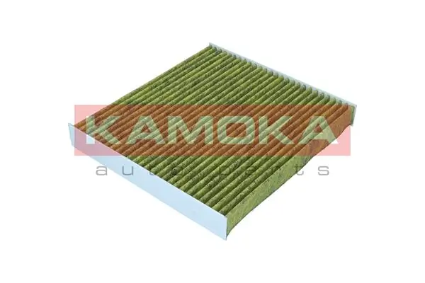 Filter, cabin air 6080180