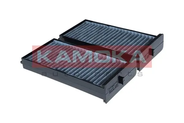 Filter, cabin air F525701