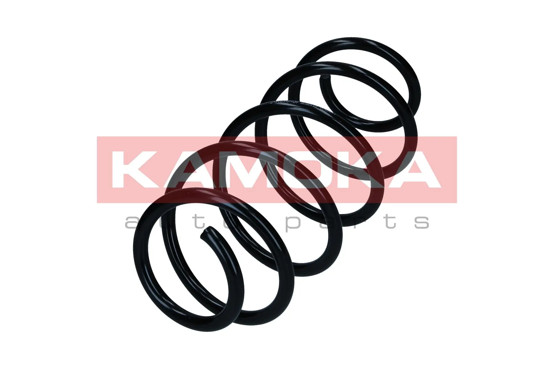 Suspension Spring 2110505