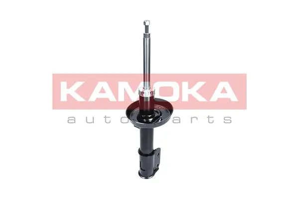Shock Absorber 2000419
