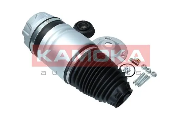 Air Spring, suspension 2079011