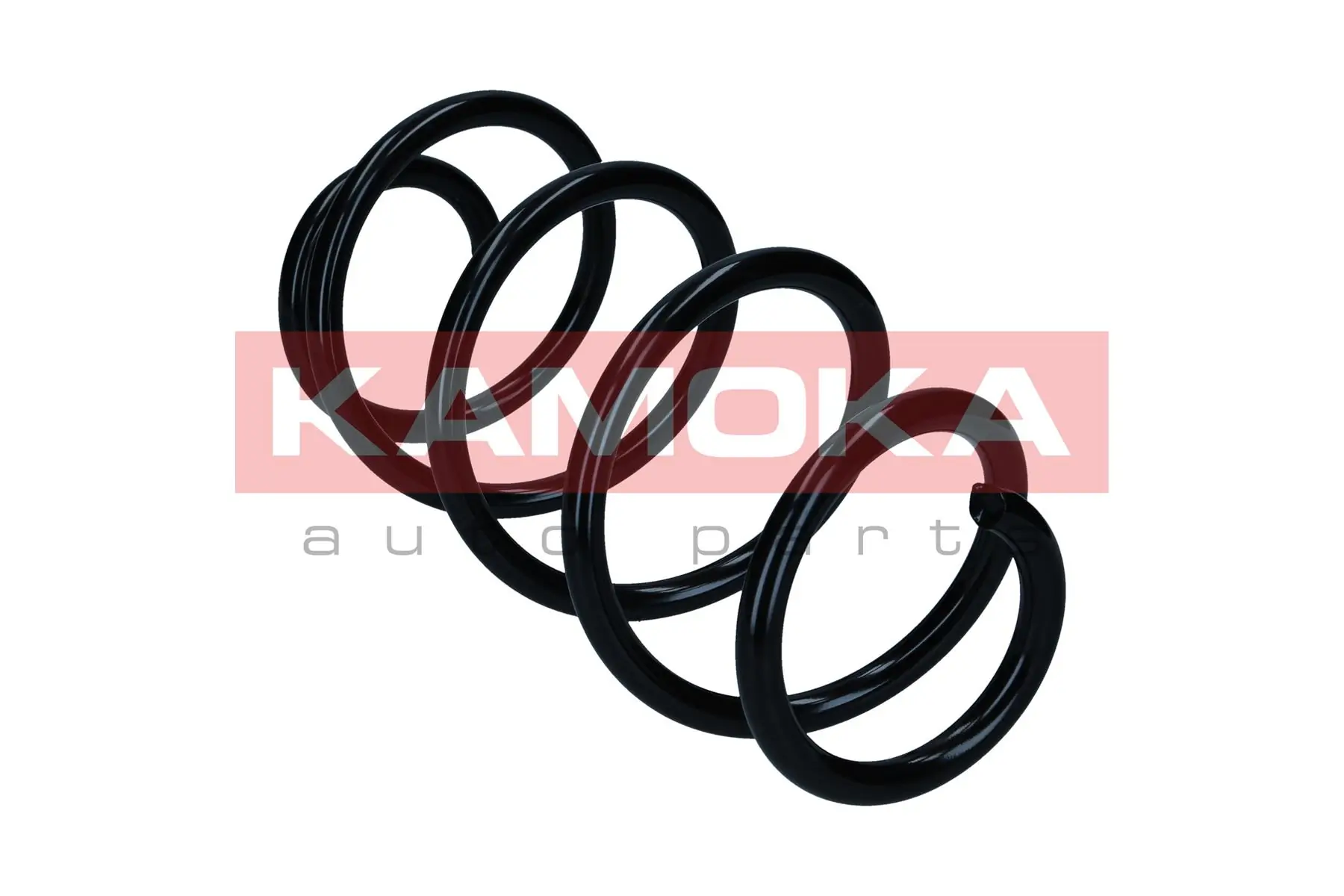 Suspension Spring 2110751