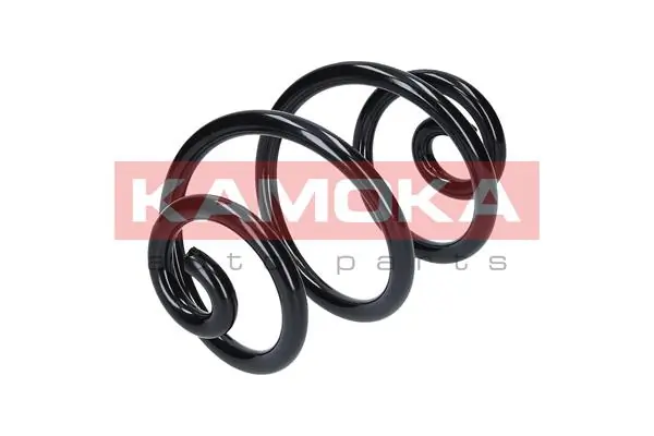 Suspension Spring 2110736